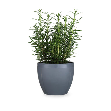 Grand Cru Flower Pot, Grey, 6.3"