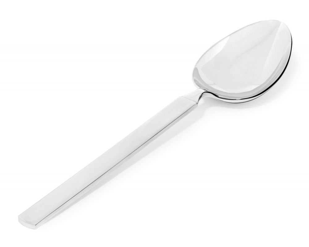 4180/11 "DRY" SERVING SPOON