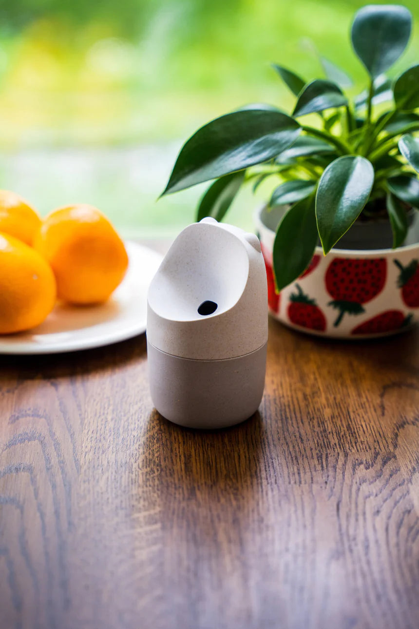 KONNA Fruit Fly Trap - Natural White