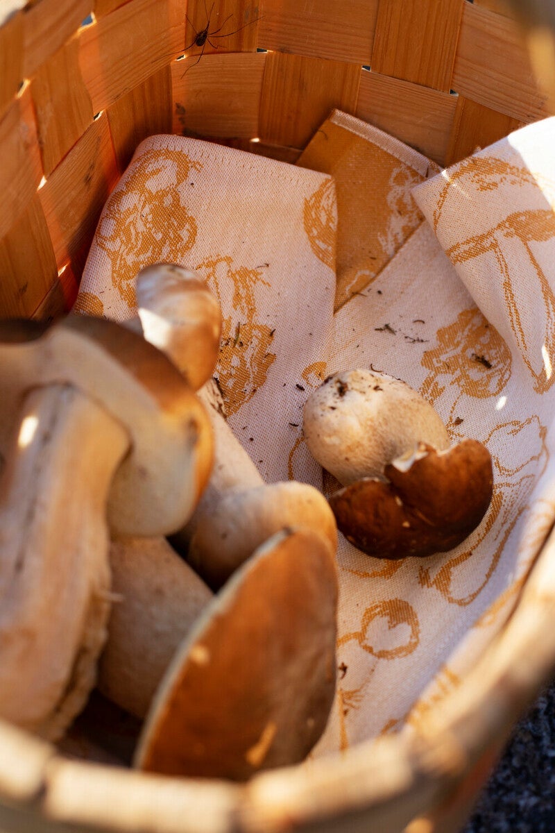 Sienimetsä tea towel (2/white-bordeaux, 46 x 70 cm) 18927 *