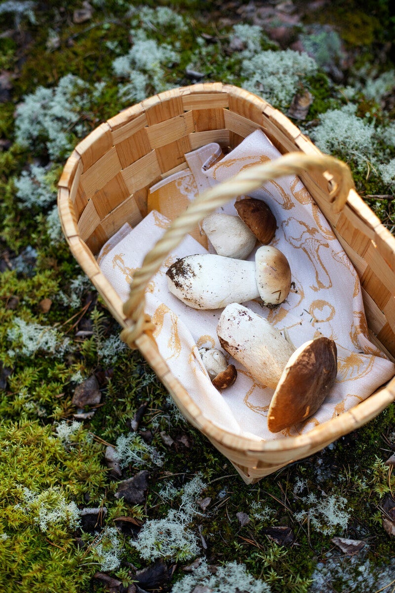 Sienimetsä tea towel (2/white-bordeaux, 46 x 70 cm) 18927 *