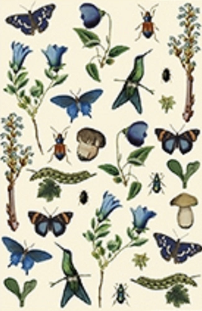 Micropuzzle - Biodiversity  -fauna